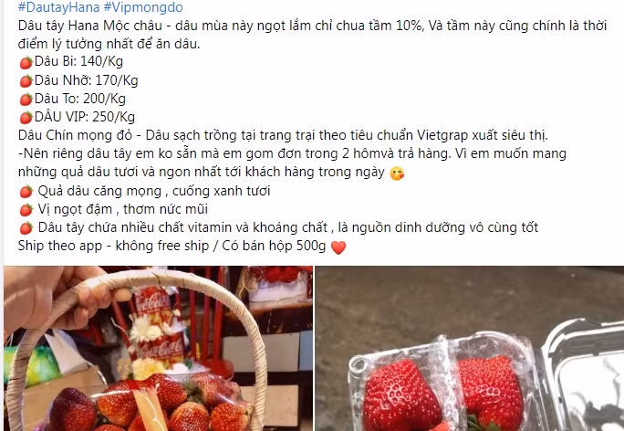 Dau tay Moc Chau “nhuom do” cho mang, cach nao phan biet dau Trung Quoc?