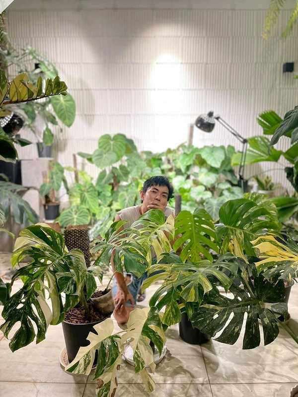 Khu vườn kiểng lá được cặp đôi chăm sóc cẩn thận không kém vườn hồng. Ảnh: FBNV