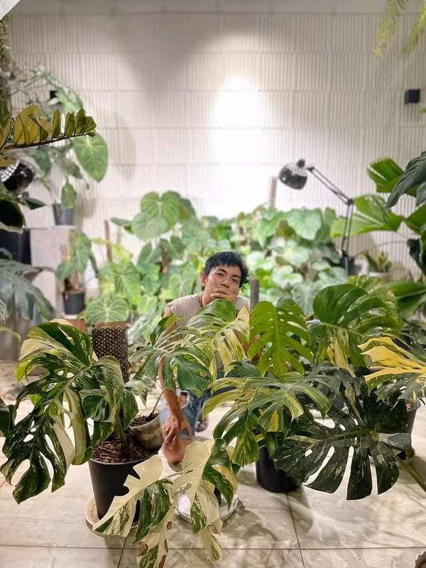 Khu vườn kiểng lá được cặp đôi chăm sóc cẩn thận không kém vườn hồng. Ảnh: FBNV