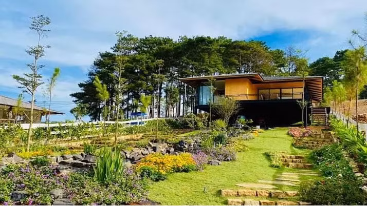 Ngôi nhà của Diễm Hương nằm trên đồi và trồng nhiều hoa của bé. Ảnh: FBNV