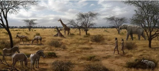 Hai trieu nam truoc, mot mon an bien vuon nhan hinh thanh nguoi?