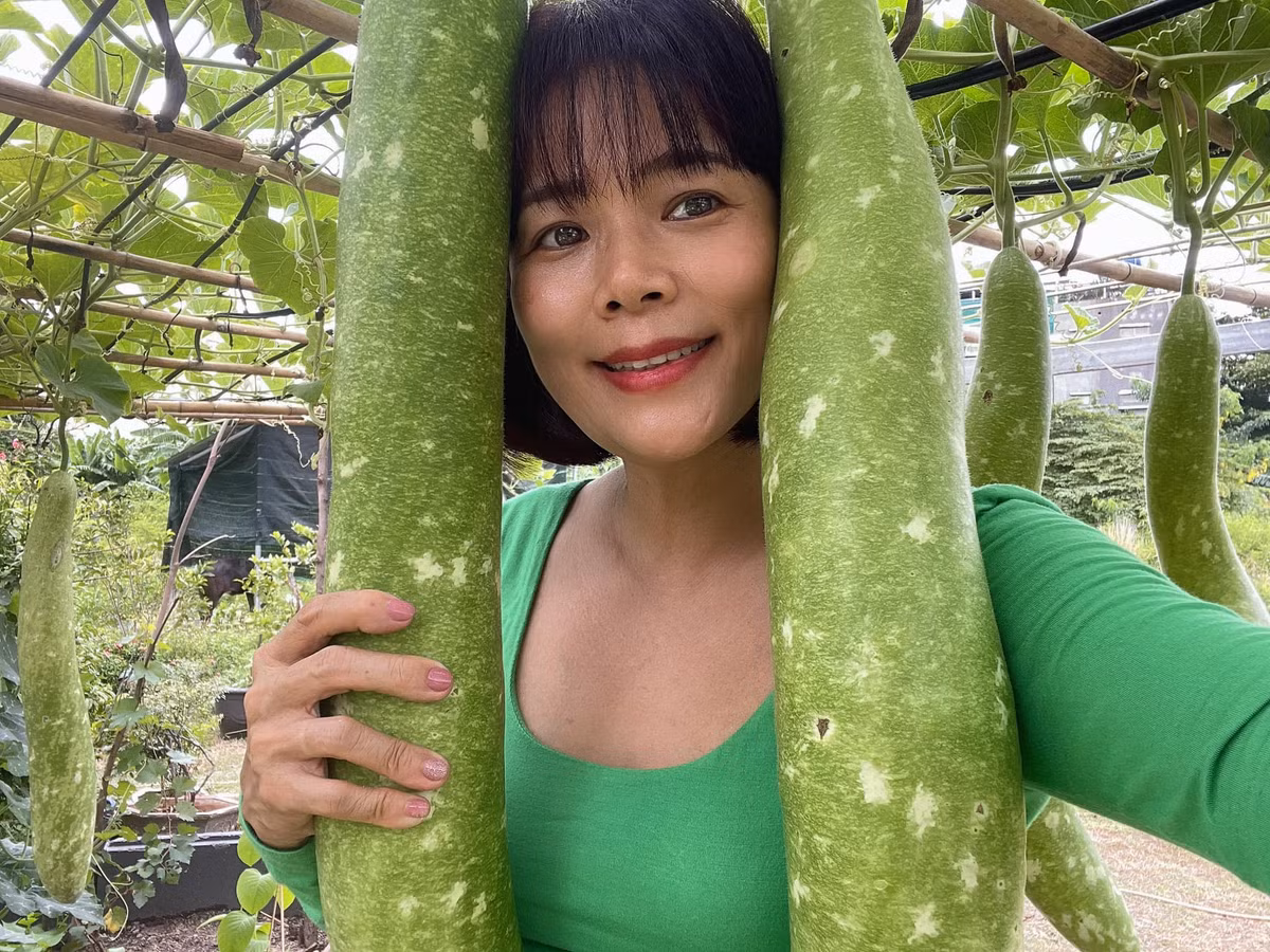 Co gi trong khu vuon rong nghin m2 cua ca si My Le?