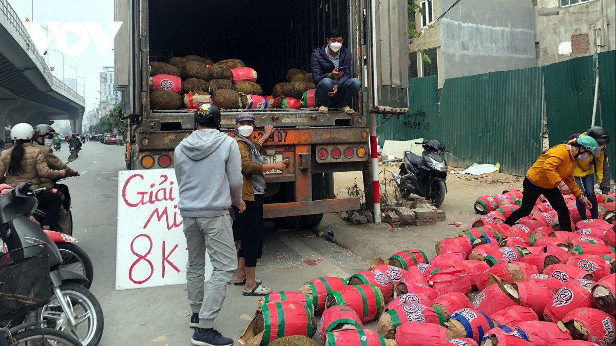 Nhiều chỗ, mít Thái được bán với giá từ 8.000 - 12.000 đồng/kg. Ảnh; VOV