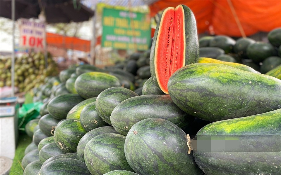 Không chỉ mít, dưa hấu cũng được bán với giá "giải cứu" 20.000 đồng/quả. Ảnh: Lao động