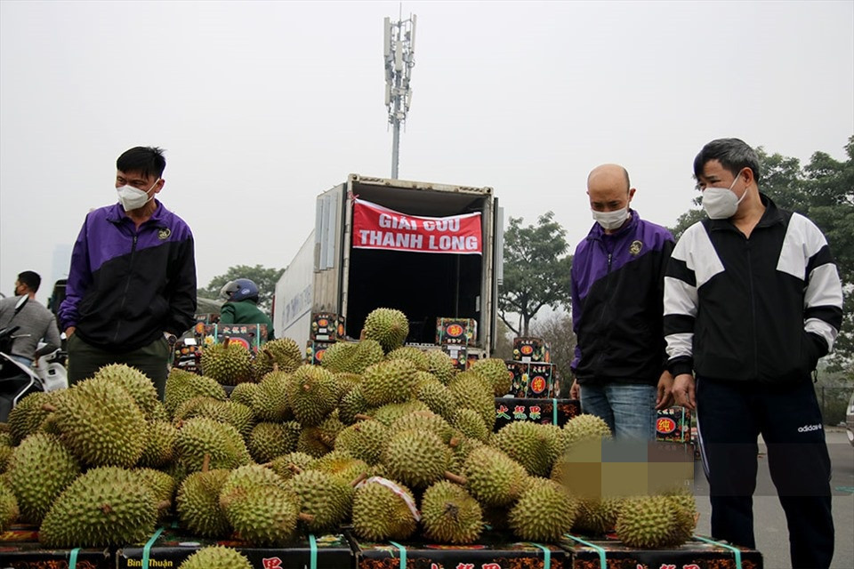 Mặt hàng sầu riêng cũng được quay đầu bán giải cứu. Giá bán 90.000 đồng/kg. Ảnh: Lao động