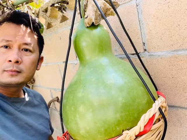 Bằng Kiều cho biết, trong khu vườn này, mẹ là người bỏ nhiều công sức nhất. Bà chăm sóc từng cây trái nhỏ và trồng thêm nhiều hoa ở các gốc vườn. Ảnh: FBNV