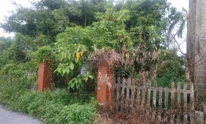 Vì biến cố, bố mẹ Việt Anh phải rời quê để vào Bình Dương. Tuy nhiên, căn nhà ở quê vẫn được giữ lại theo mong muốn của Việt Anh. Ảnh: Tiền phong