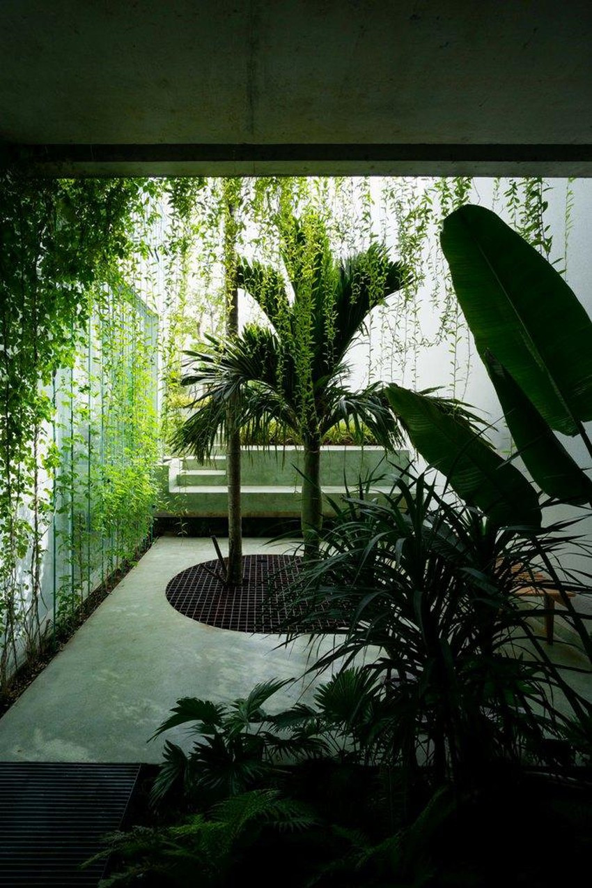 Cây xanh ở mọi nơi trong và ngoài nhà mang đến một màu xanh mát mắt.