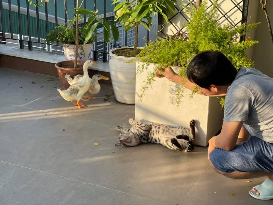 Thời gian không đi diễn, nam ca sĩ tìm niềm vui bằng cách trồng rau, cây cảnh trên sân thượng.