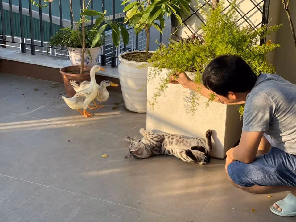 Thời gian không đi diễn, nam ca sĩ tìm niềm vui bằng cách trồng rau, cây cảnh trên sân thượng.