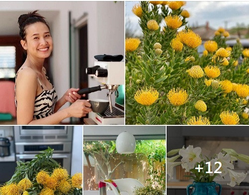 Mới đây, trên trang cá nhân, Hoa hậu Dương Mỹ Linh chia sẻ hình ảnh những đóa hoa trong vườn nhà đang nở bung trong tiết trời tháng 4 mát mẻ.