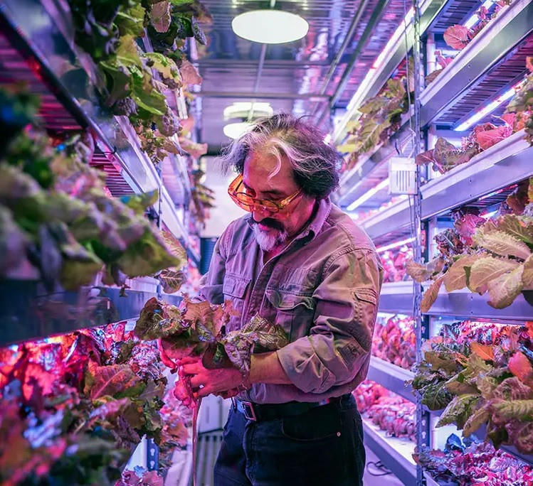 Theo GCC Business News, Bustanica sẽ không ảnh hưởng đến tài nguyên đất đang bị đe dọa của thế giới. Nguồn ảnh: BI, Emirates