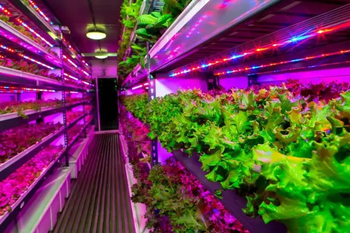 Được hỗ trợ bởi máy móc, trí tuệ nhân tạo và các phương pháp tiên tiến, trang trại thẳng đứng sẽ được điều hành bởi đội ngũ chuyên gia nông học được đào tạo bài bản, kỹ sư, nhà làm vườn và nhà khoa học thực vật.