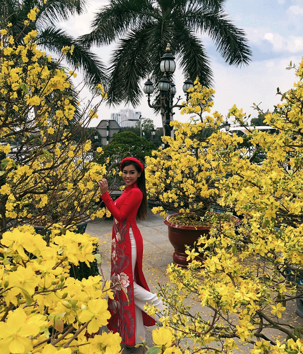 Vào dịp Tết Nguyên đán, sân biệt thự nhà tỷ phủ Johnathan Hạnh Nguyễn ngập sắc vàng của hoa mai. Ảnh: Zing