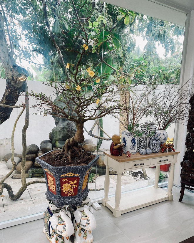 Biệt thự của Shark Khoa ngập không khí Tết với đủ các loại hoa: hoa đào, hoa mai và tuyết mai. Ảnh: FBNV