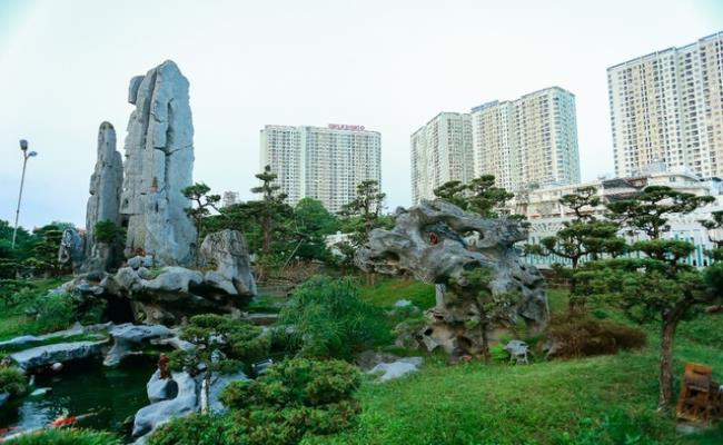 Khu vườn được xây dựng từ năm 2007, ban đầu chỉ để thỏa mãn đam mê sưu tầm cây cảnh độc lạ nhưng về sau trở thành nơi gặp gỡ, giao lưu của những người chơi cây. Ảnh: Dân Việt