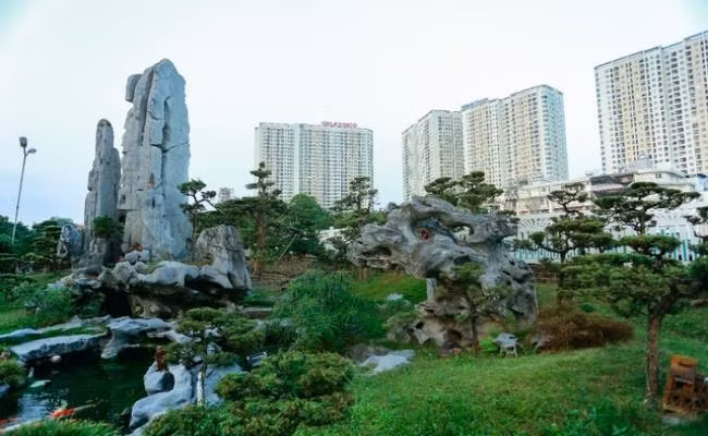 Khu vườn được xây dựng từ năm 2007, ban đầu chỉ để thỏa mãn đam mê sưu tầm cây cảnh độc lạ nhưng về sau trở thành nơi gặp gỡ, giao lưu của những người chơi cây. Ảnh: Dân Việt