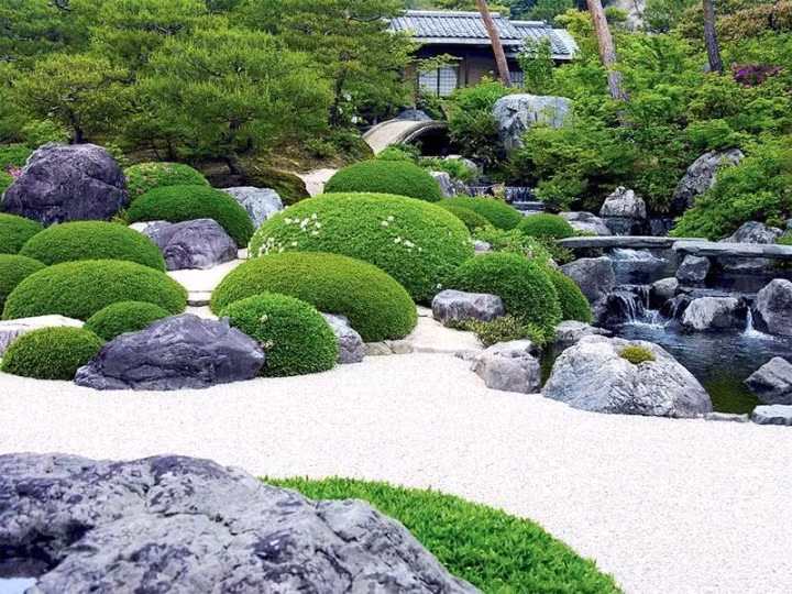 Theo anh Kỹ, thú chơi sân vườn Nhật thực sự rất tốn kém và mất thời gian. Giá thi công vườn Nhật trên thị trường hiện nay đang ở mức 200.000 đồng/m2. Ảnh: Vietnamnet