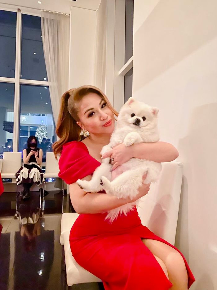 Chỉ một góc nhỏ cũng đủ thấy không gian lộng lẫy trong nhà nữ ca sĩ.