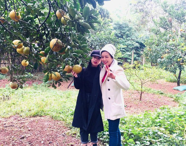 Nghệ sĩ Chiều Xuân cho biết trồng đến 100 gốc bưởi trong khu vườn. Ảnh: Giadinhnet