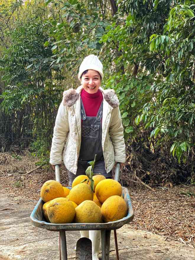 Nữ nghệ sĩ dùng cả xe đẩy để chở bưởi. Ảnh: Lao động