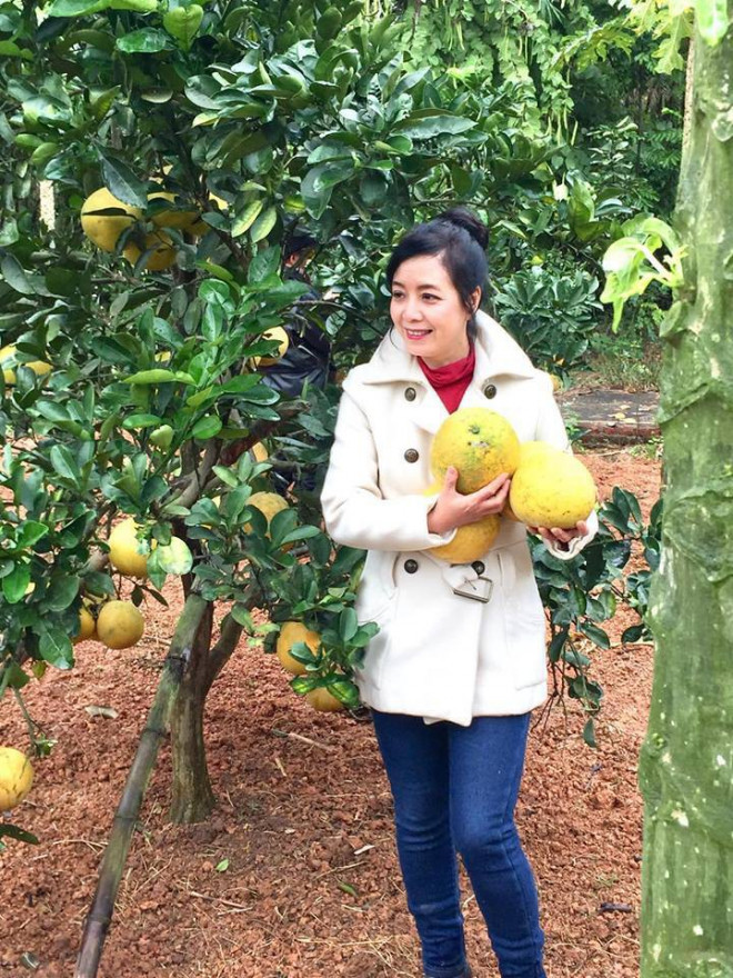 Nữ nghệ sĩ thường xuyên lui tới để chăm sóc và thu hoạch quả. Ảnh: Giaidnhnet