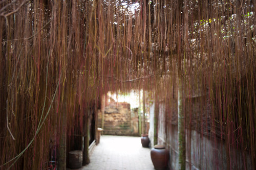 Ngay lối vào là chiếc cổng được xây dựng theo lối xưa bằng đất đá, bã trấu, bùn để tạo chất kết dính và lối vào rợp bóng bởi cây tơ hồng. Ảnh: VTV