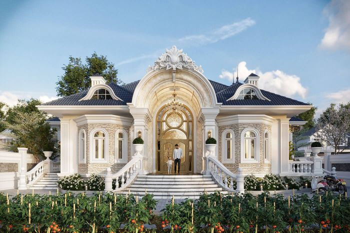 Biệt thự 1 tầng cổ điển chinh phục người nhìn bởi cách phối màu hài hoà, độc đáo. Ảnh: Xaydungso