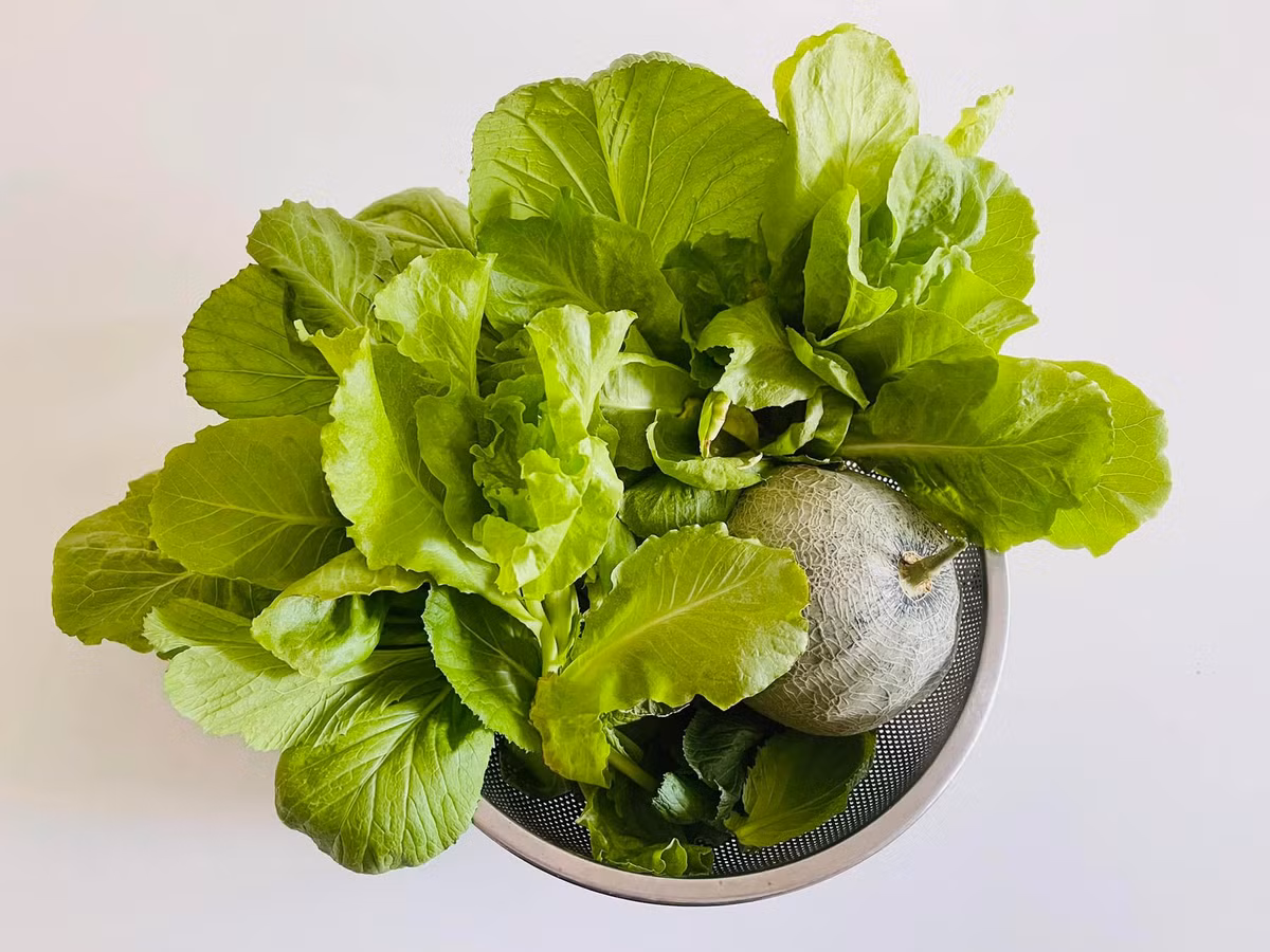 Vuon rau thuy canh du cac loai trong biet thu cua MC Dai Nghia