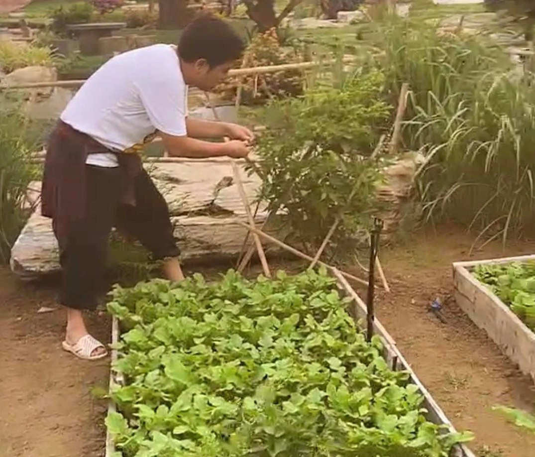 Tất cả mọi loại cây đều được đích thân nam danh hài chăm sóc. Ảnh chụp màn hình