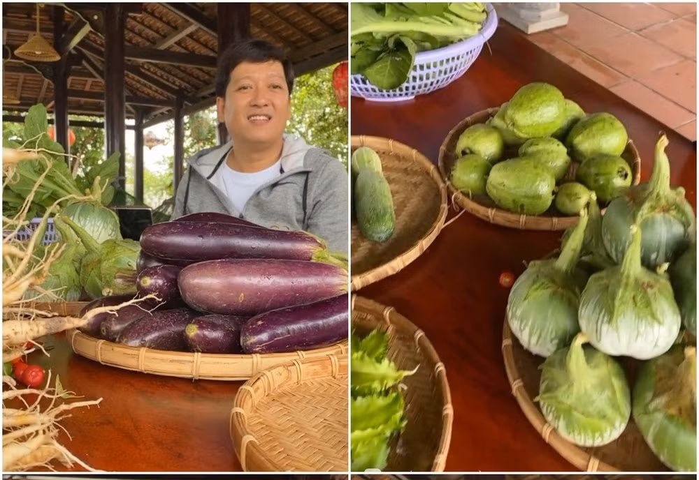 Loại nào cũng xanh tốt, có kích thước lớn. Ảnh chụp màn hình