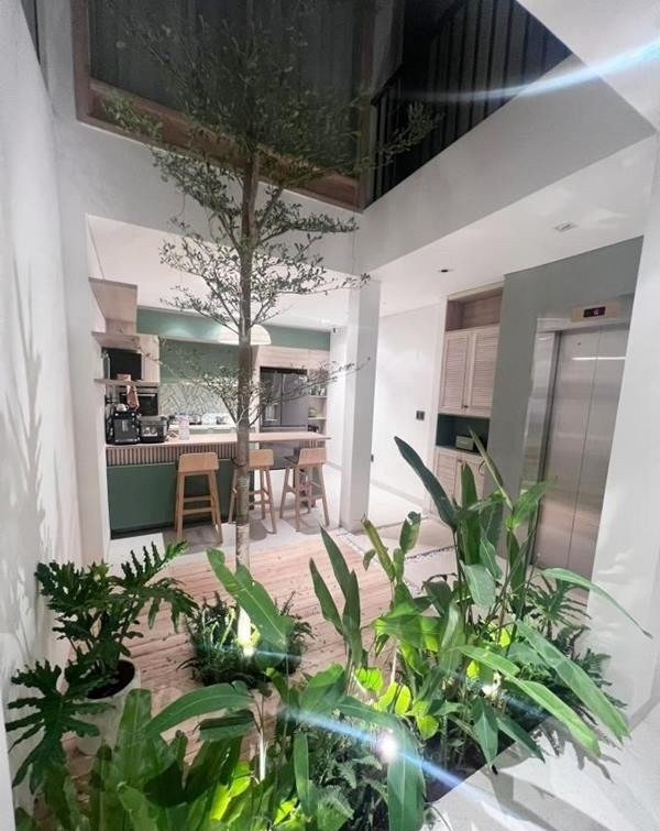 Ở giữa nhà, Lý Bình thiết kế giếng trời tạo sự lưu thông không khí, kết hợp trồng cây tạo mảng xanh. Ảnh: Ngoisao