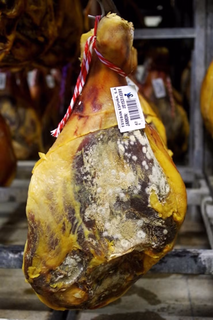 Để vậy khoảng vài tuần thì họ mới bắt đầu rửa trôi muối thừa trên thịt lợn rồi treo chúng lên dưới hầm đá. Ảnh: Theblackhoof