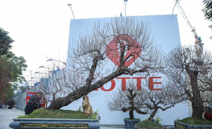 Đặc biệt, có gốc đào được chào bán có giá 120 triệu đồng hoặc cho thuê 100 triệu đồng. Ảnh: Công luận