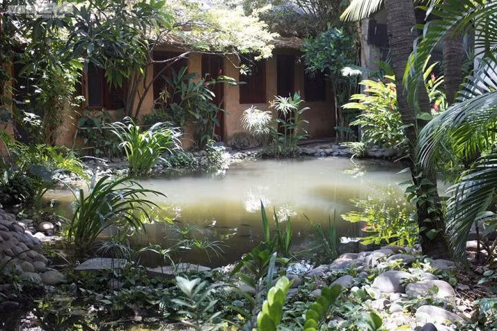 Johnny Trí Nguyễn chọn ở nhà mái lá vì không có căn nhà nào mát mẻ bằng nhà mái lá. Ảnh: VTCNews