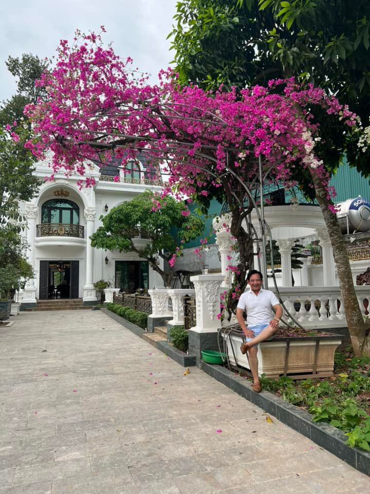 Đặc biệt, khu vườn nhà nghệ sĩ Quang Tèo còn có nhiều cây hoa giấy lớn. Ảnh: FBNV