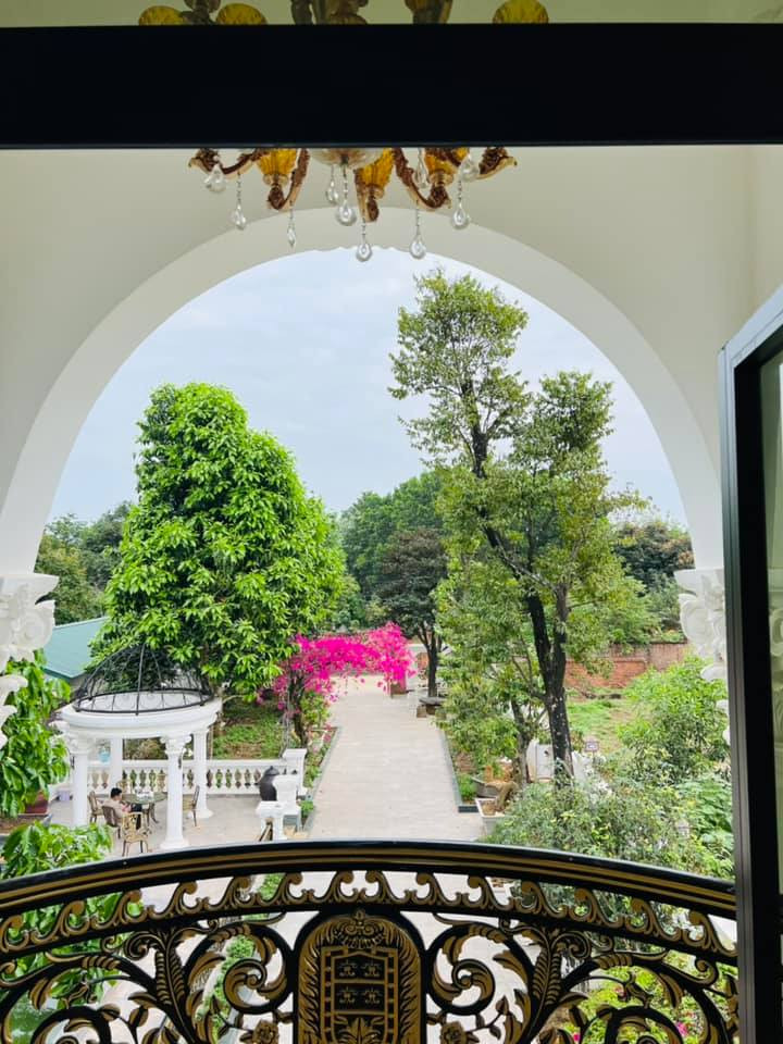 Nhìn cây cối trong khu biệt thự của NSƯT Quang Tèo, rất nhiều người không khỏi trầm trồ và ngưỡng mộ. Ảnh: FBNV