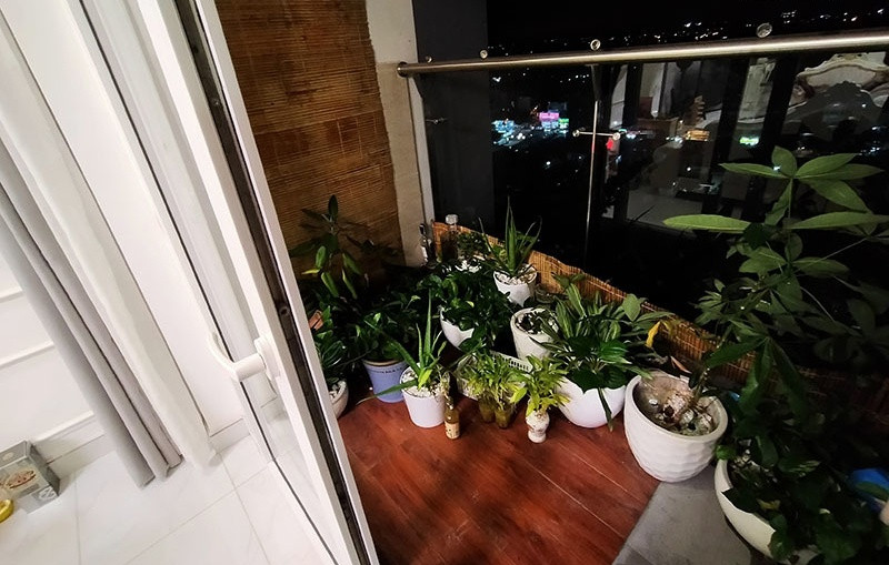 Ngoài ban công, Phi Thanh Vân đặt nhiều chậu cây xanh. Ảnh: Vietnamnet
