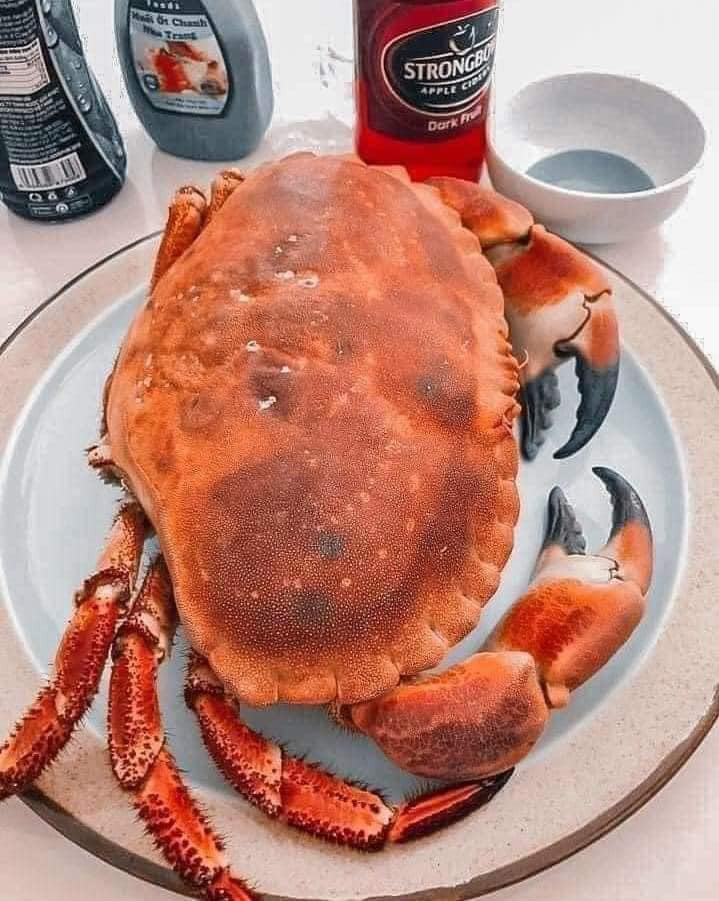 Tại Việt Nam, cua nâu Nauy nhập khẩu trực tiếp ở cả hàng tươi sống và đông lạnh.