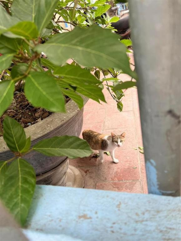 Ngọc Hân gặp gỡ và bén duyên với Phạm Phú Đạt sau 1 năm đăng quang Hoa hậu Việt Nam 2010. Dù bên nhau gần thập kỷ nhưng mãi sau này nàng hậu mới công khai bạn trai, khi cả hai tính chuyện trăm năm.