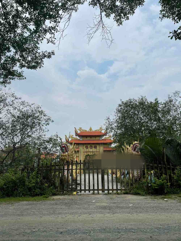 Xung quanh nhà thờ tổ là cỏ mọc um tùm. Ảnh: YANcam