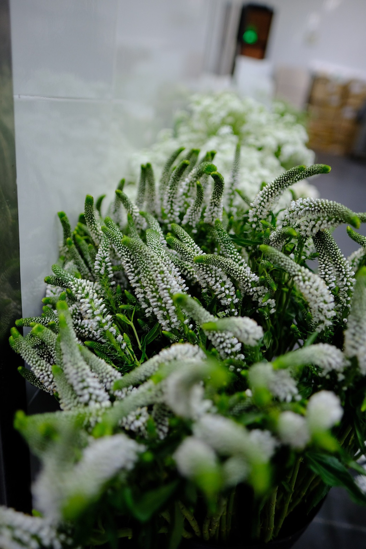 Không những thế, đám cưới Ngô Thanh Vân - Huy Trần còn gây "choáng" vì không gian tràn ngập sắc hoa đẹp như cổ tích. Ảnh: FBNV