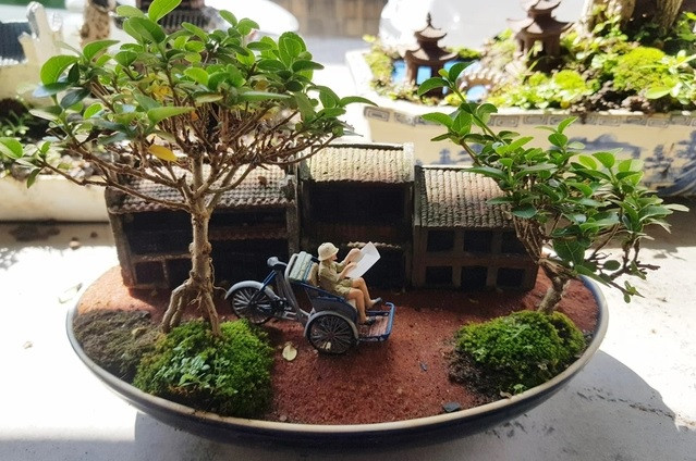 Bao gồm hơn 5.000 cây bonsai, tiểu cảnh mini, bộ sưu tập của ông Phúng vượt qua kỷ lục của một người Ấn Độ với bộ sưu tập gần 3.300 cây bonsai và tiểu cảnh mini từ nhiều năm qua. Ảnh: Dân trí