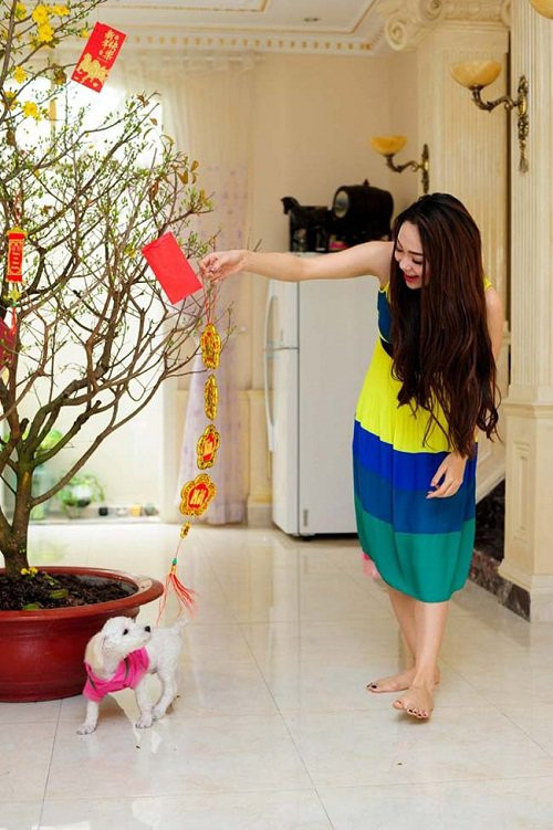Bên trong nhà được tô điểm bằng chậu mai vàng rực rỡ. Ảnh: Facebook