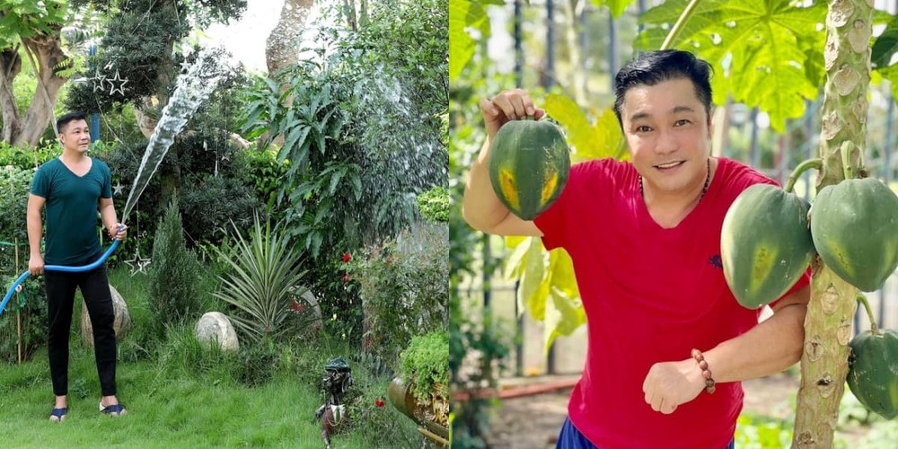 Trong khuôn viên biệt thự, Lý Hùng thiết kế một khu vườn mini trồng nhiều cây cảnh và cây ăn quả. Ảnh: FBNV