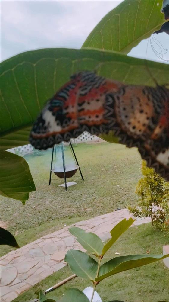 Xung quanh biệt thự chủ yếu là cây xanh tạo không khí vô cùng trong lành, thích hợp cho những ngày nghỉ cuối tuần.