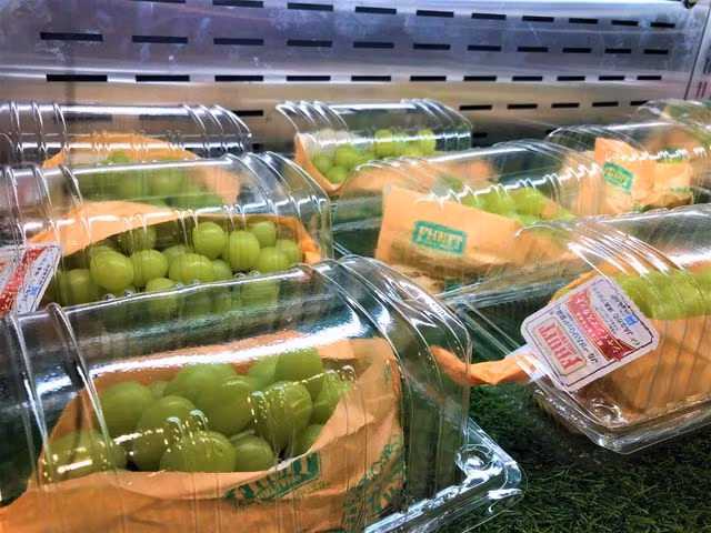 Đến mùa thu hoạch, nho cho hương vị thơm ngọt mùi sữa. Ảnh: Vietnamnet