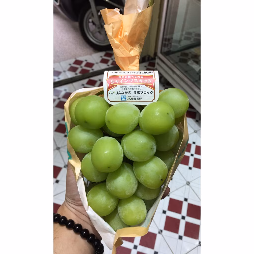 Với mức giá đắt đỏ cộng với mỗi chùm chỉ được khoảng 20-30 quả, phần lớn khách hàng mua nho mẫu đơn Nhật Bản để đi biếu. Ảnh: VOV