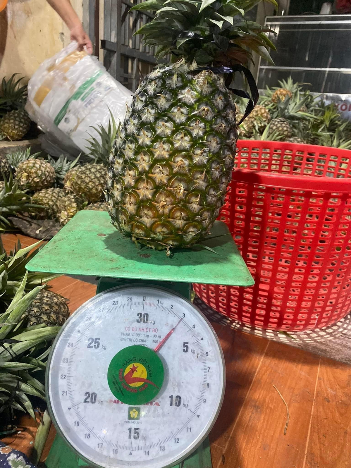 Tò mò, chị đặt mua thử 2 quả về ép nước. Chị Trang bất ngờ khi 1 quả dứa nặng tới 2kg, có quả 3kg, gấp 4 - 5 lần loại dứa chị thường mua trước đây.