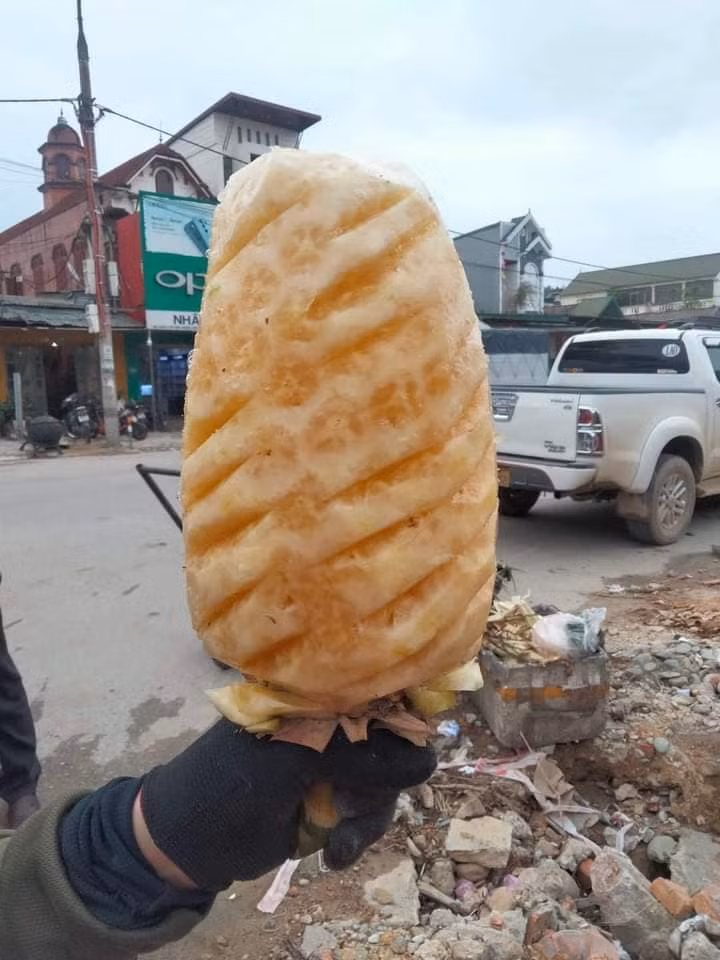 Nếu như dứa thông thường vỏ dày, nhiều mắt phải khoét sâu thì loại dứa khổng lồ này vỏ mỏng, mắt dứa lại khá nông.